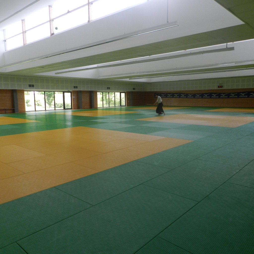 Le superbe Dojo, la solitude du suburi