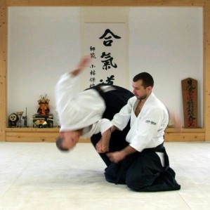 aikido-shiatsu