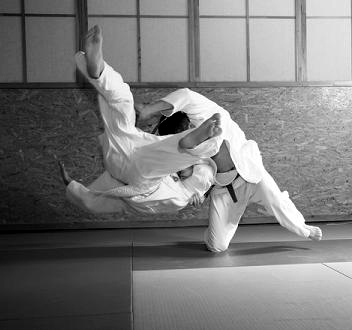judo_com_crop_0-0-352-330-352-330